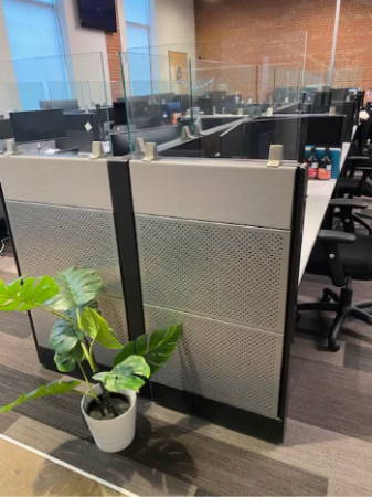 cubicles with hidden absorption