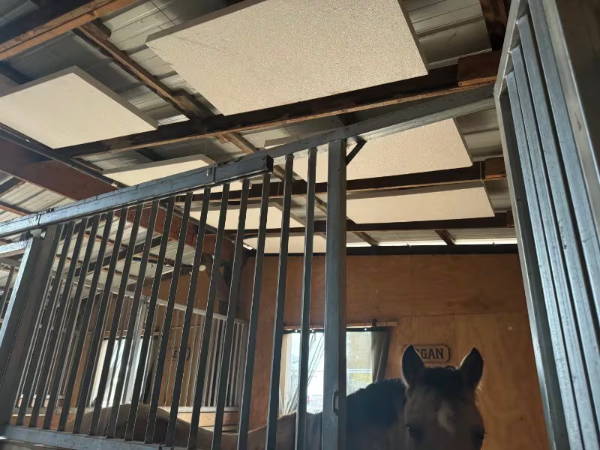 horse barn with acoustic clouds installed overhead