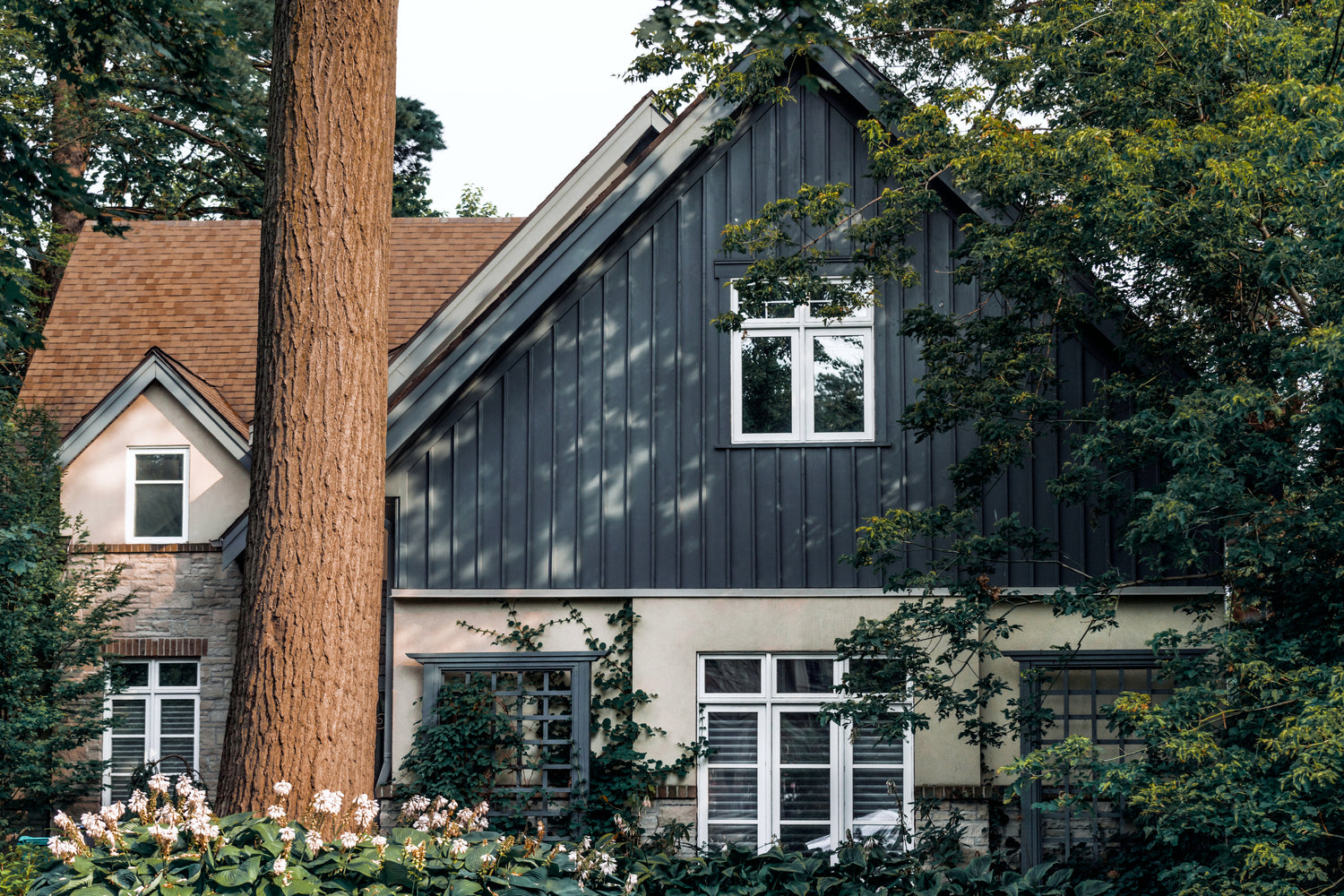 Quiet suburban home surrounded by trees, illustrating residential soundproofing needs