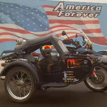 Bmw Sidecar