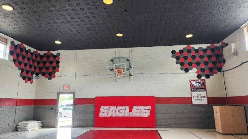 gymnasium with polyzorbe acoustic hexagon panels