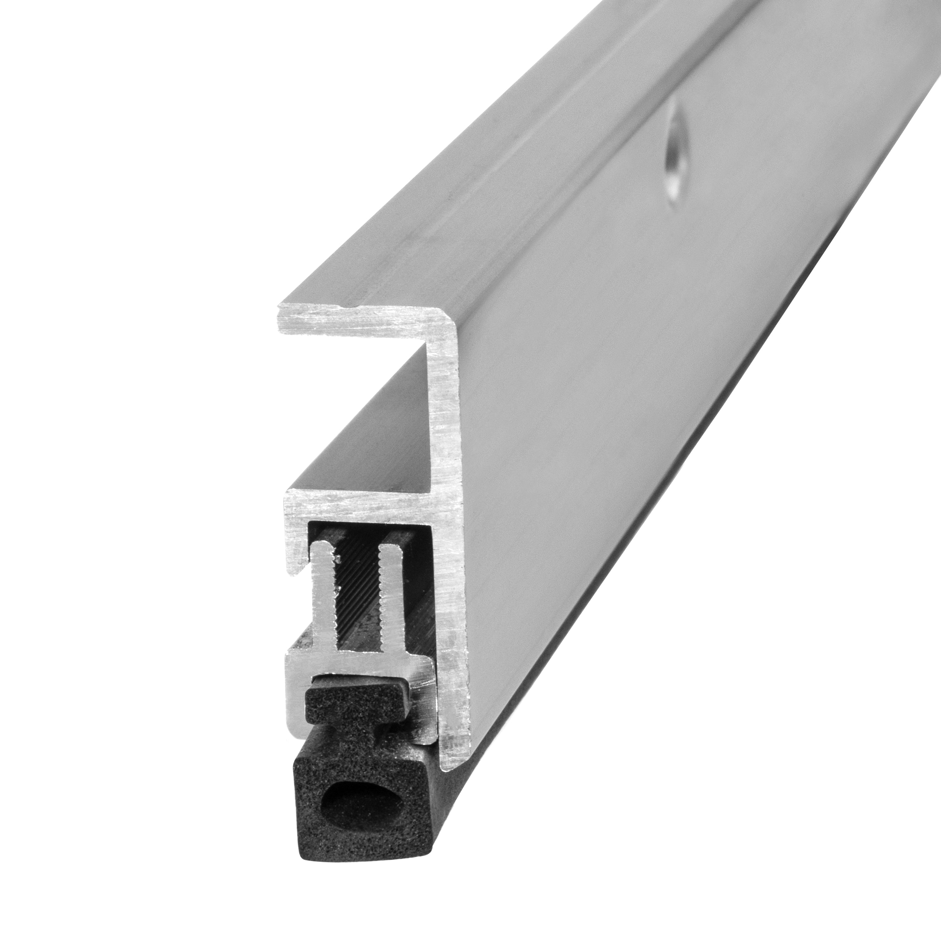 Sound Lock door jamb seal sitting vertical