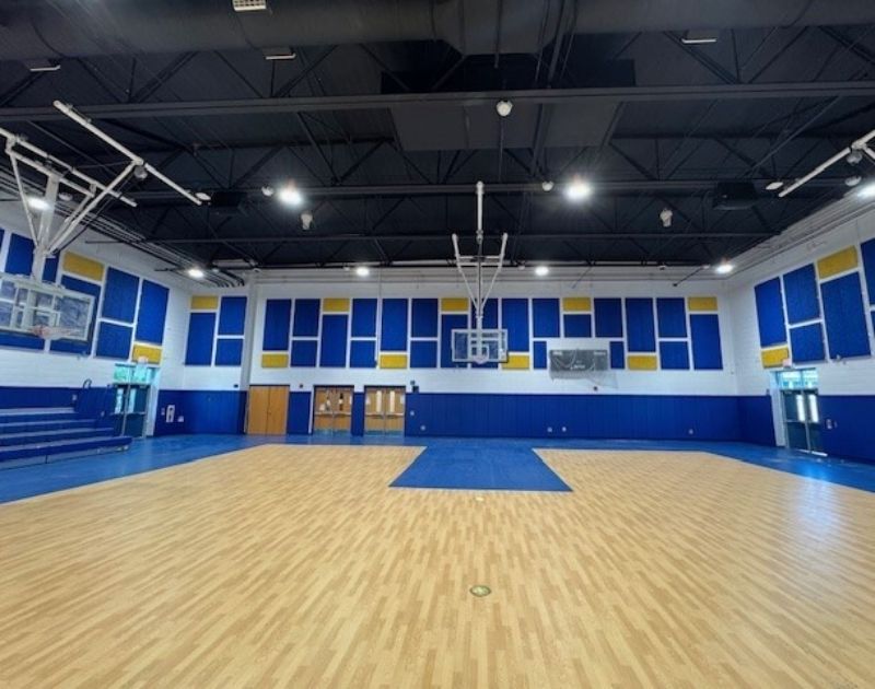 Blue and yellow Timberwool acoustic panels in a middle school gymnasium