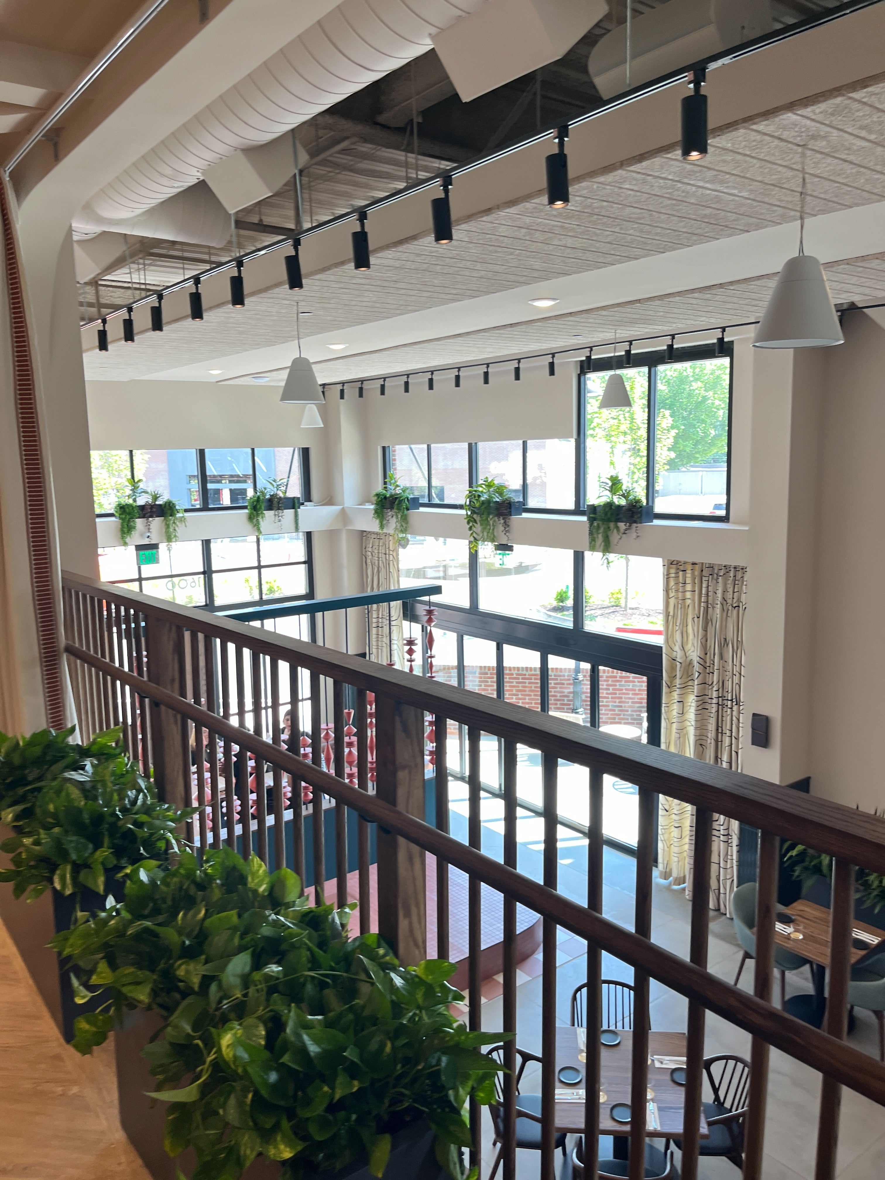 Timberwool Ceiling Tiles installed in modern restaurant with mezzanine, natural wood wool texture visible on ceiling