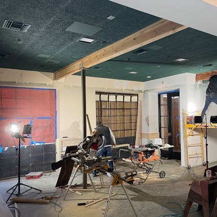 Timberwool wood fiber acoustic panels painted green and installed on ceiling