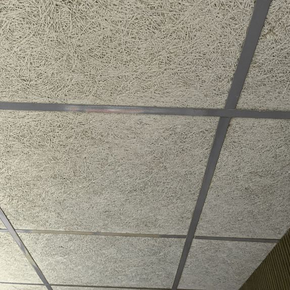 timberwool ceiling tiles in an office