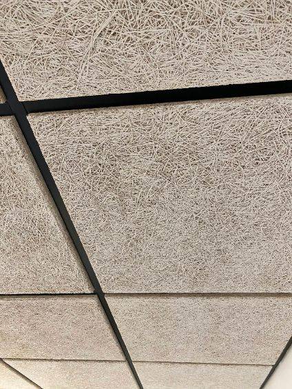Timberwool Ceiling Tiles installed in drop ceiling grid, natural wood wool fiber texture