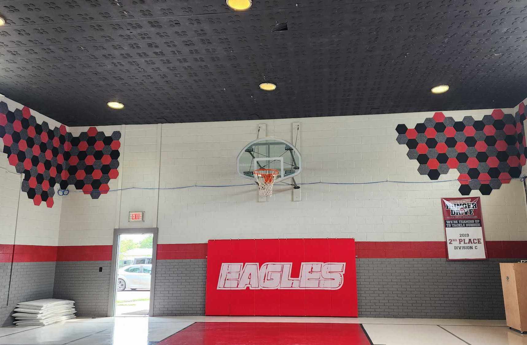 PolyZorbe hexagons on a gym wall