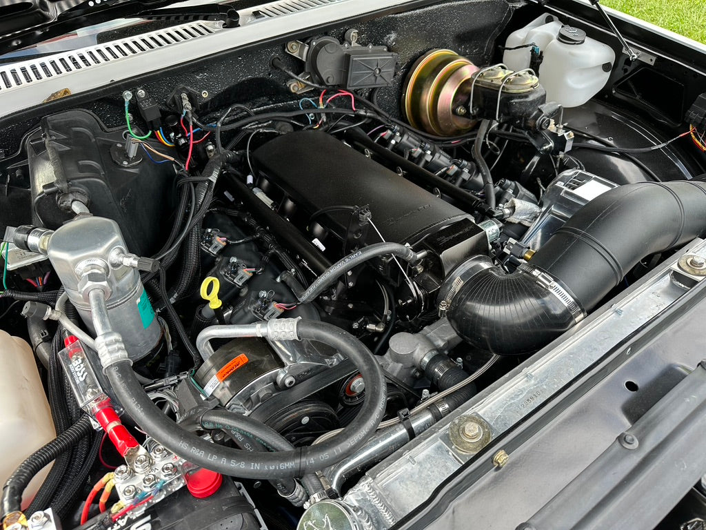 Chevy s10 engine shot