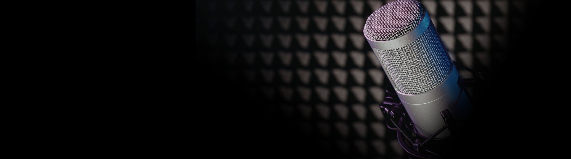 Second Skin Audio