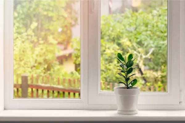 Bright window sill with small potted plant, representing peaceful quiet home environment