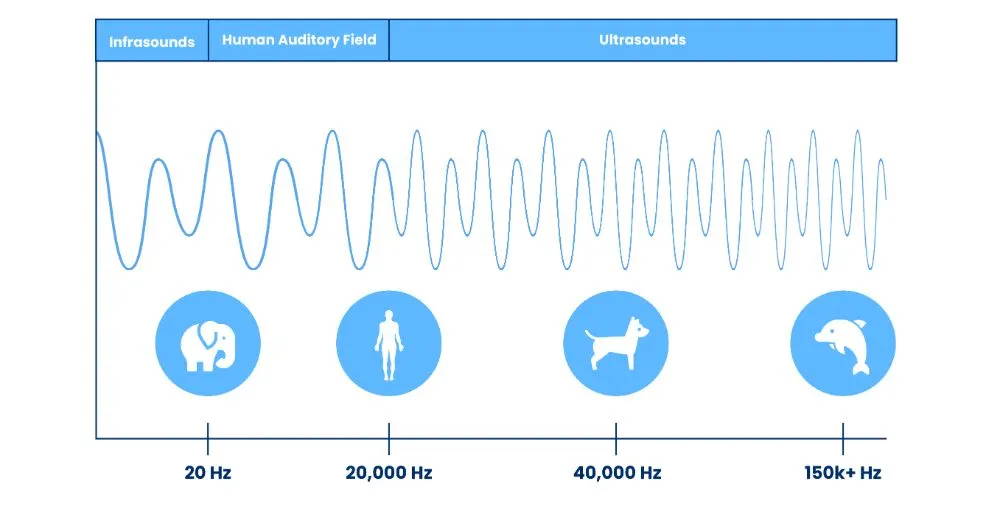 Chart showing sound frequency ranges: infrasound below 20Hz, human hearing 20–20,000Hz, and ultrasound up to 150kHz+