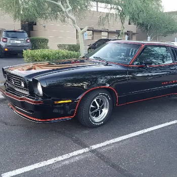 Ford Mustang Cobra Sound Deadening