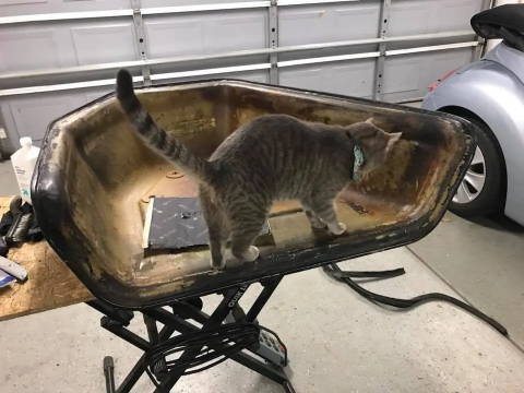 Doghouse Soundproofing with help of the cat