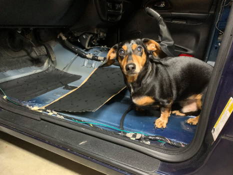 2008 trailblazer SS with Weiner Dog Soundproofing